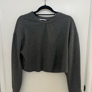 Zara Heather Gray Knit Top